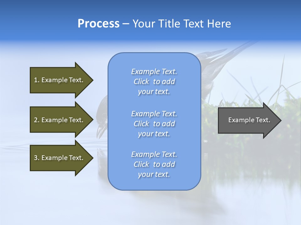 Thirsty Water Parus Major PowerPoint Template