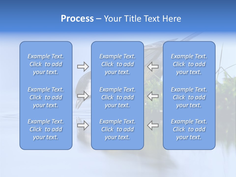 Thirsty Water Parus Major PowerPoint Template