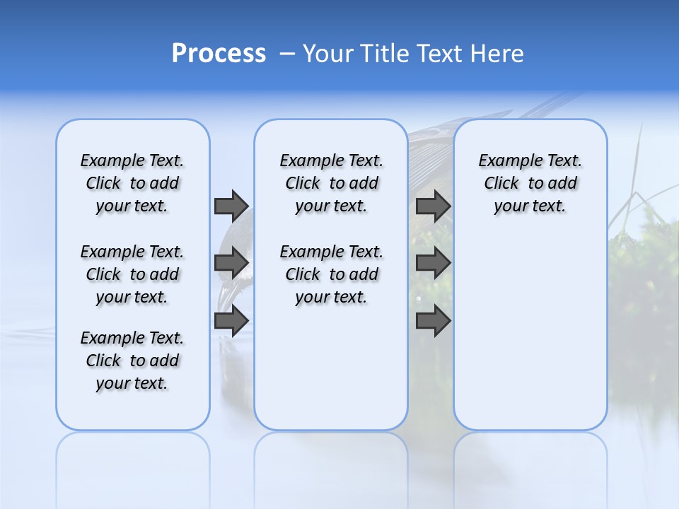 Thirsty Water Parus Major PowerPoint Template