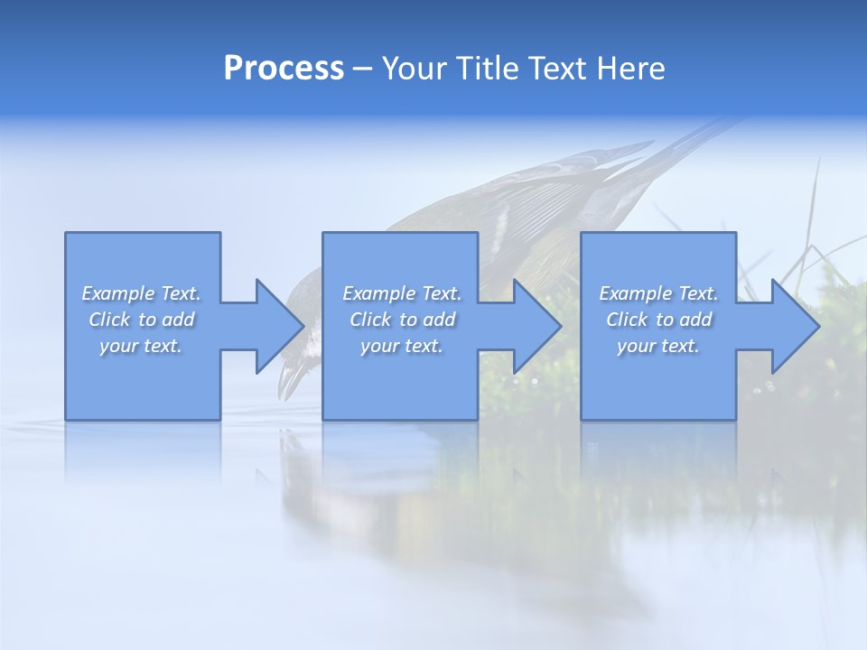 Thirsty Water Parus Major PowerPoint Template