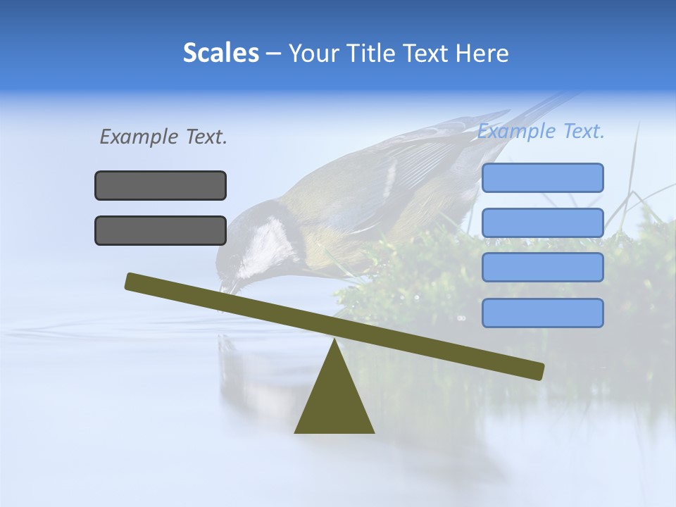 Thirsty Water Parus Major PowerPoint Template