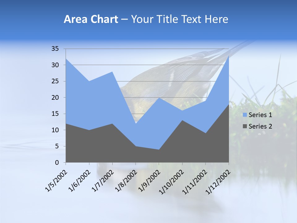 Thirsty Water Parus Major PowerPoint Template