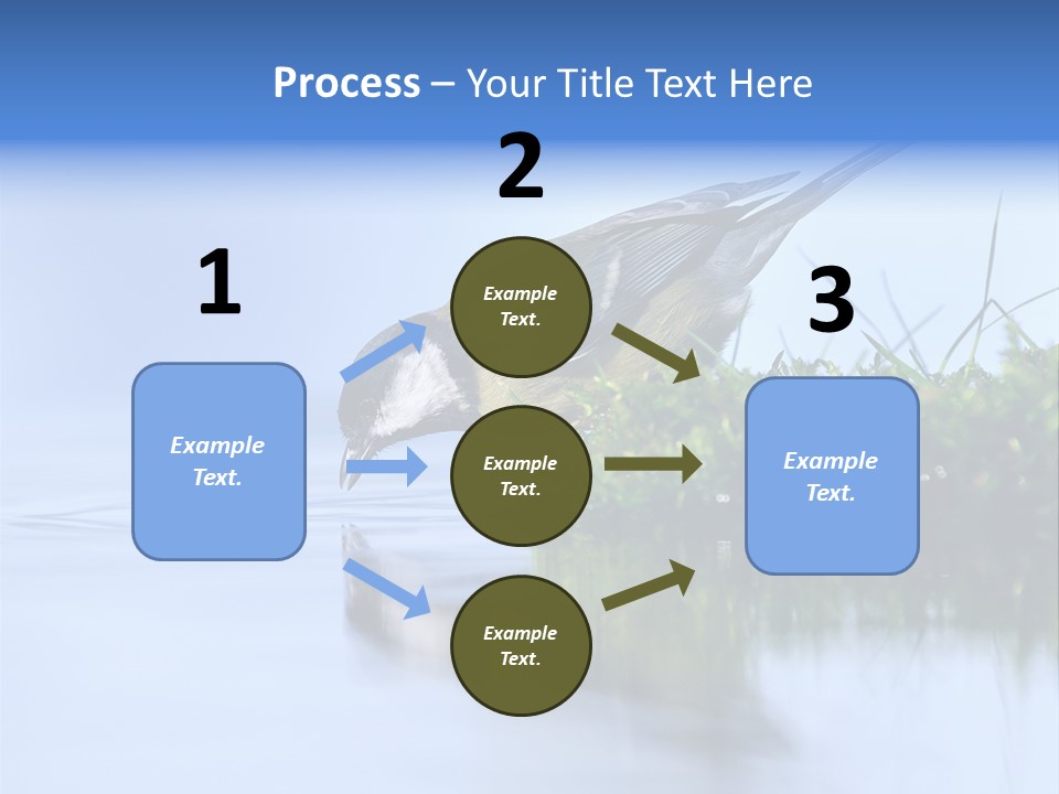 Thirsty Water Parus Major PowerPoint Template