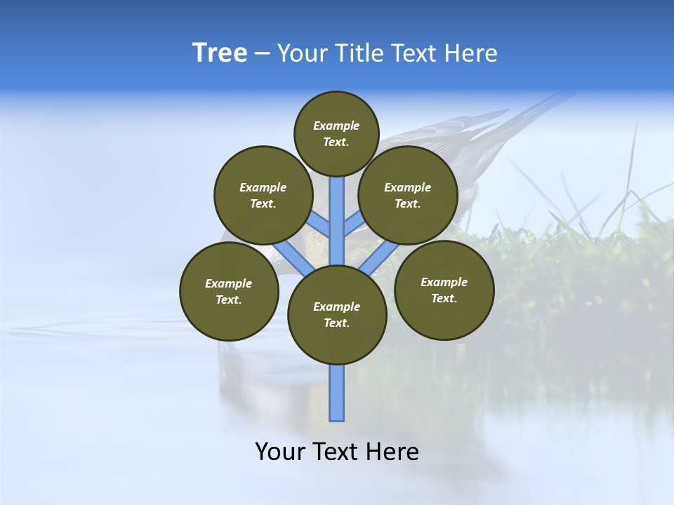 Thirsty Water Parus Major PowerPoint Template