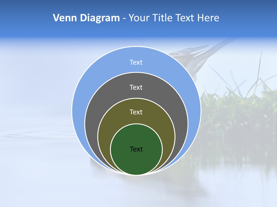 Thirsty Water Parus Major PowerPoint Template