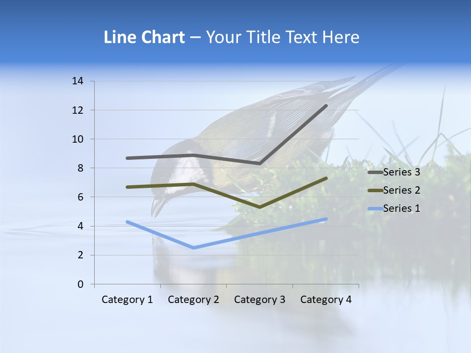 Thirsty Water Parus Major PowerPoint Template