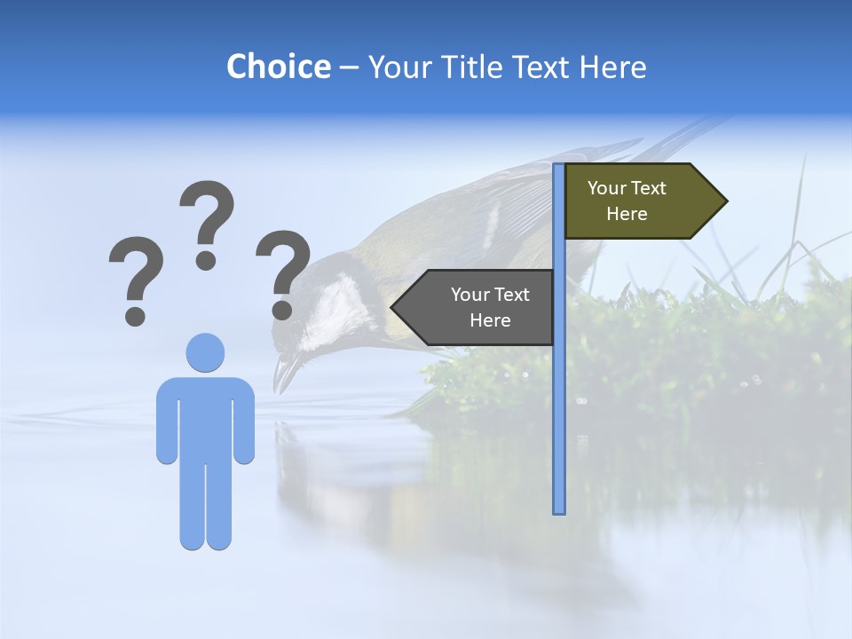 Thirsty Water Parus Major PowerPoint Template