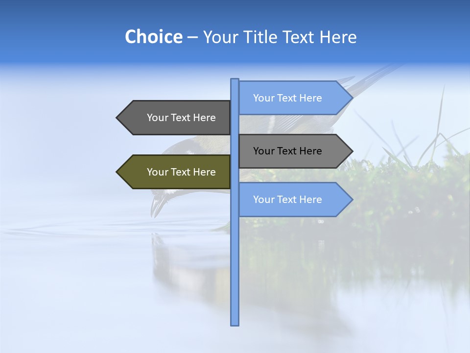 Thirsty Water Parus Major PowerPoint Template