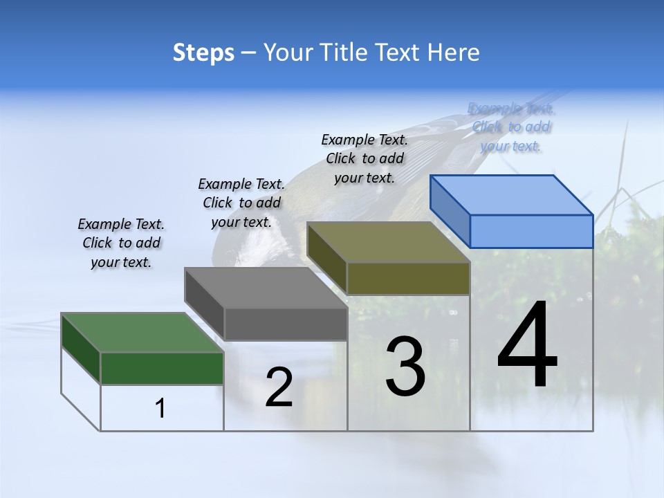 Thirsty Water Parus Major PowerPoint Template
