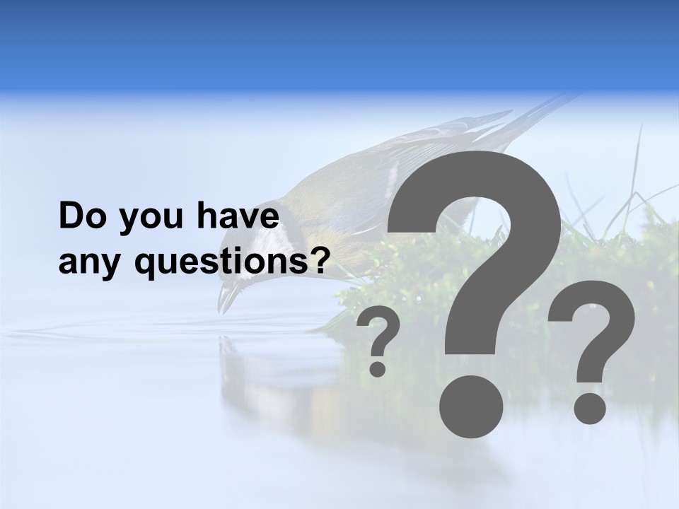 Thirsty Water Parus Major PowerPoint Template