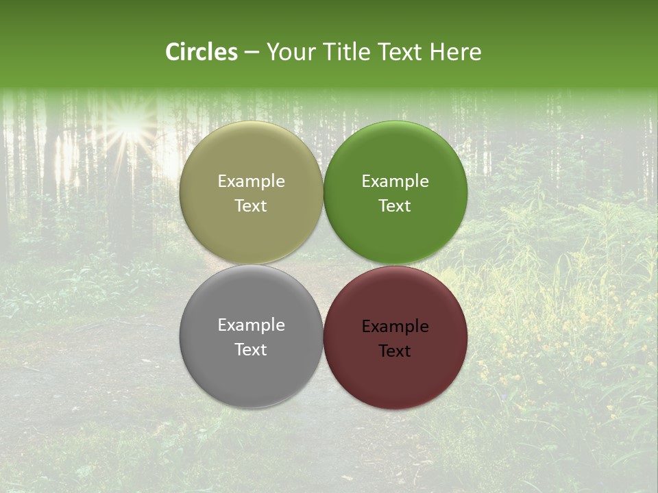 Light Beautiful Sunset PowerPoint Template