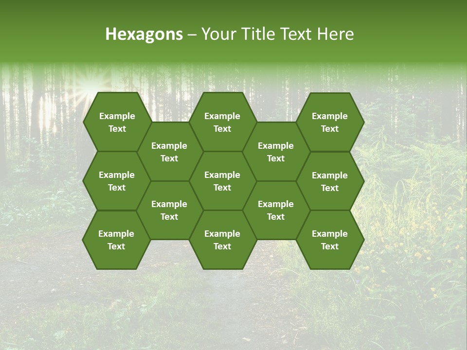 Light Beautiful Sunset PowerPoint Template