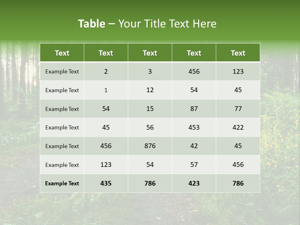 Light Beautiful Sunset PowerPoint Template