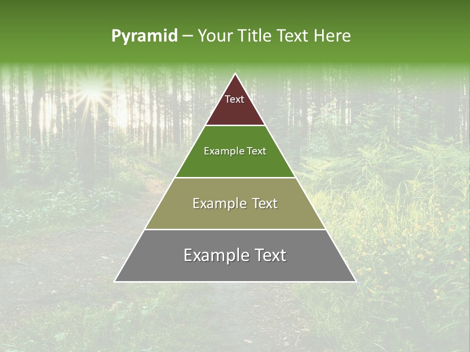 Light Beautiful Sunset PowerPoint Template