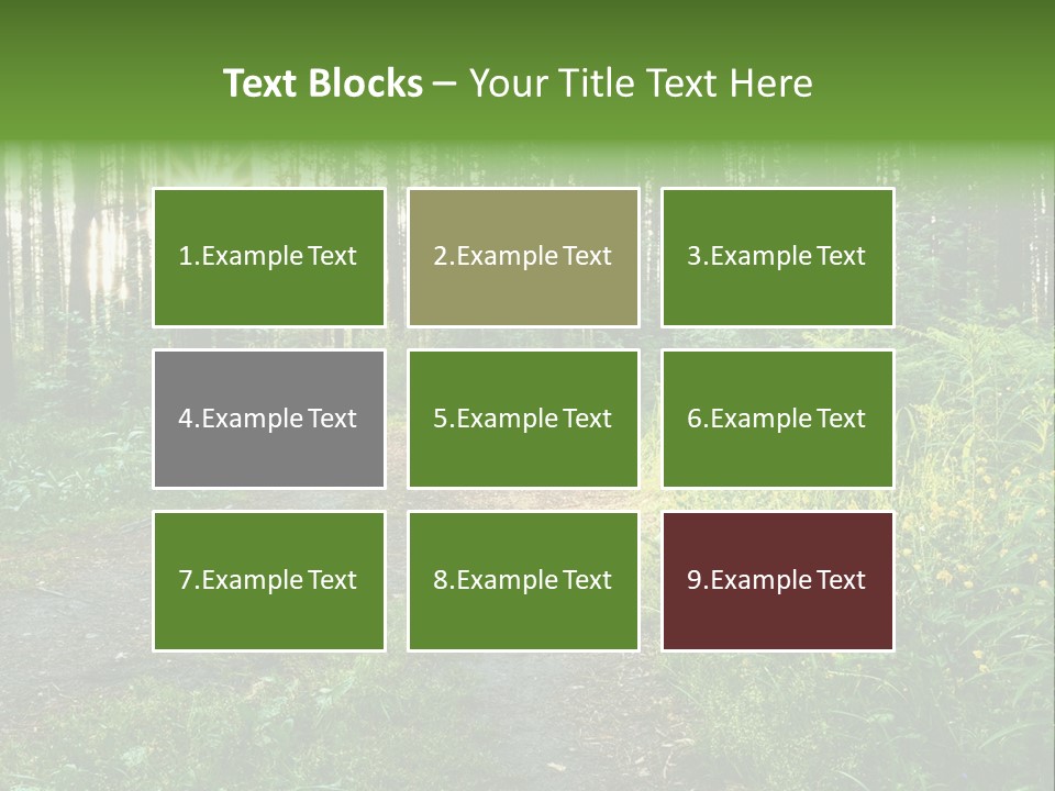 Light Beautiful Sunset PowerPoint Template