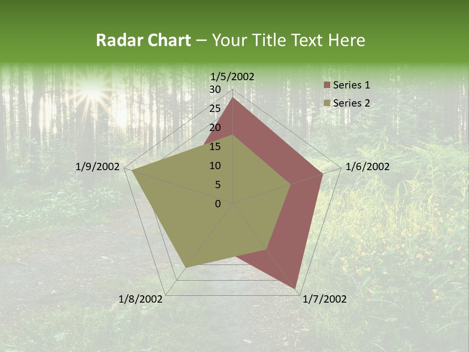 Light Beautiful Sunset PowerPoint Template