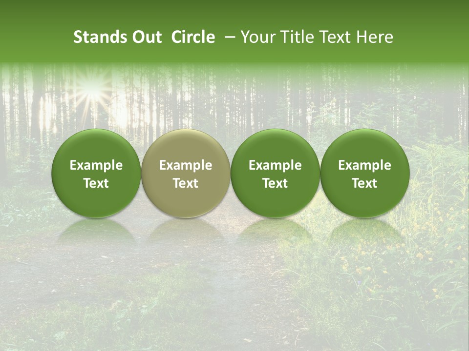 Light Beautiful Sunset PowerPoint Template