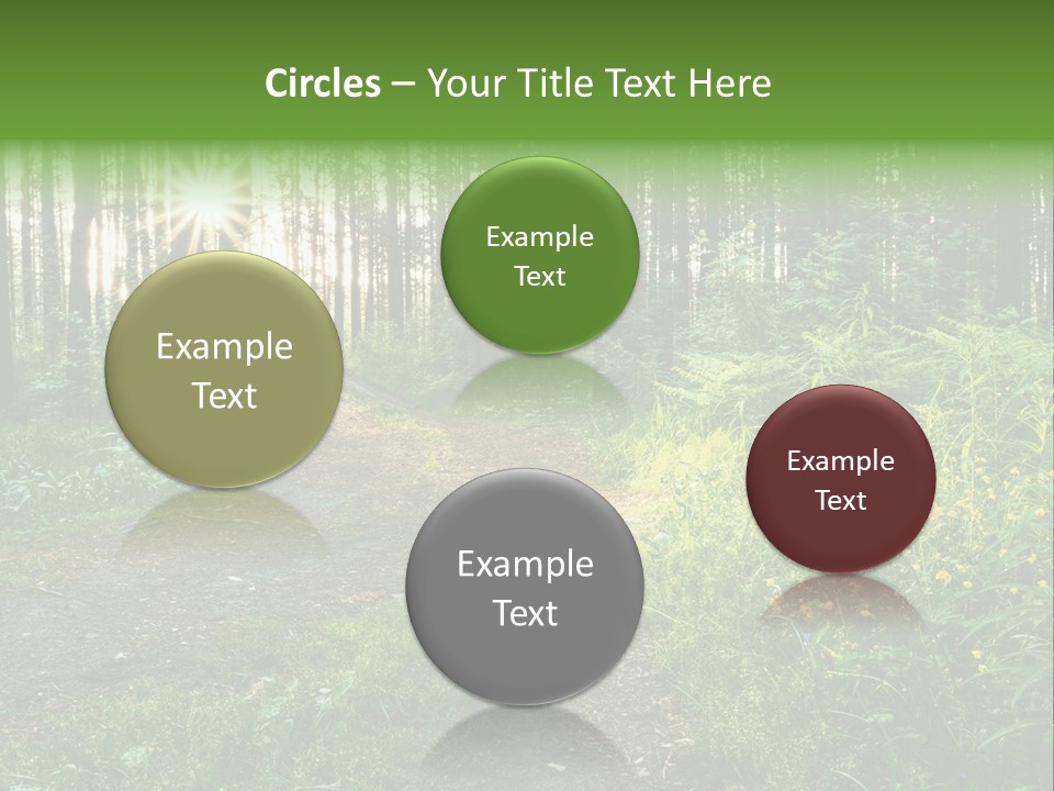 Light Beautiful Sunset PowerPoint Template