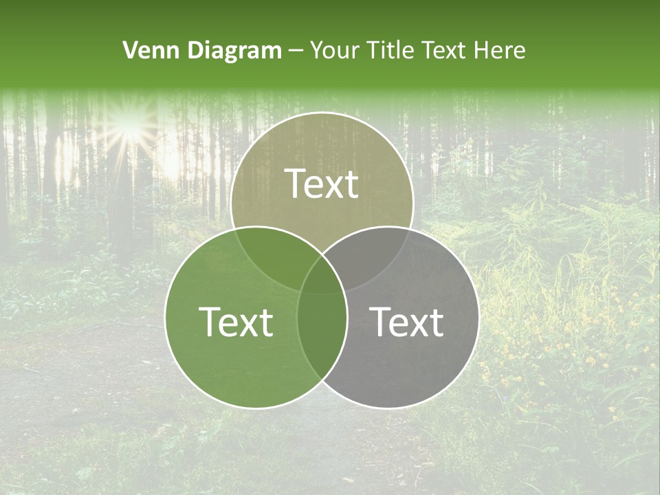 Light Beautiful Sunset PowerPoint Template