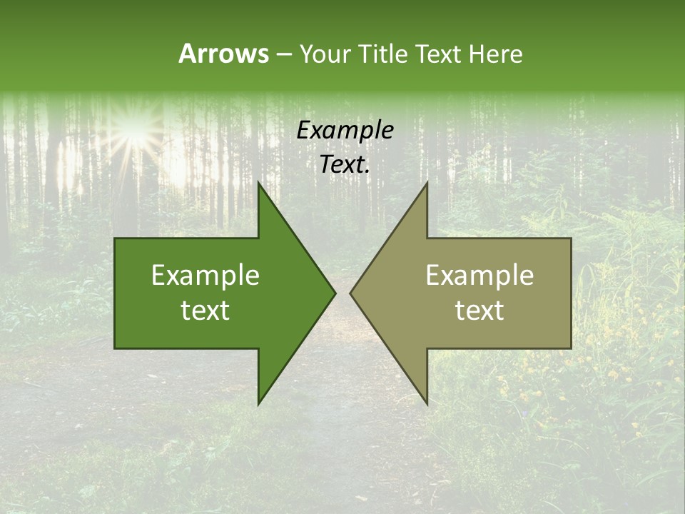 Light Beautiful Sunset PowerPoint Template