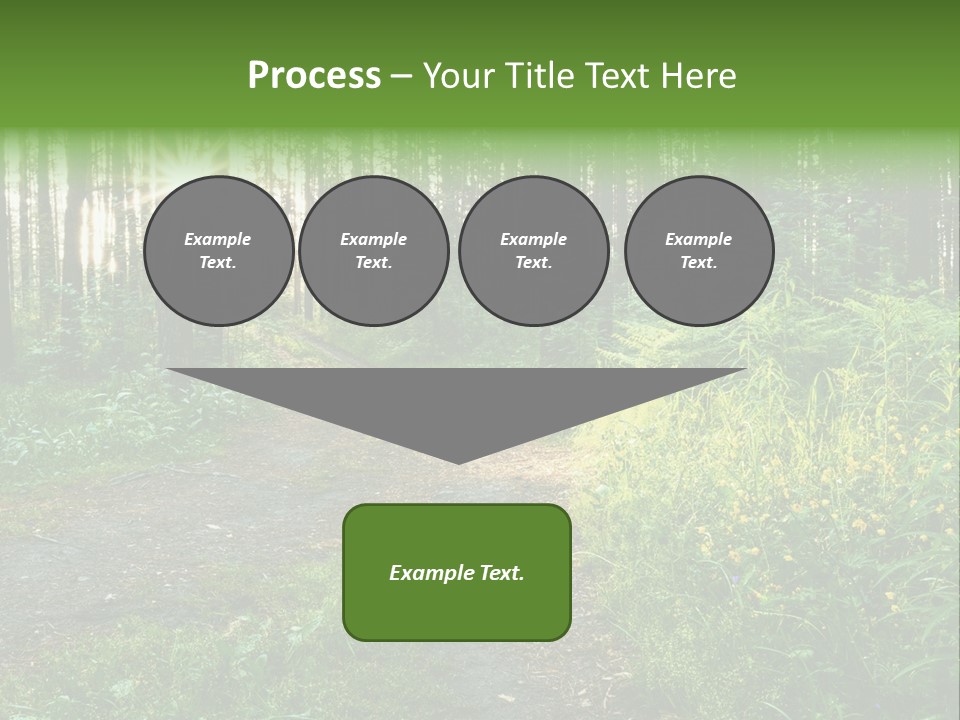 Light Beautiful Sunset PowerPoint Template