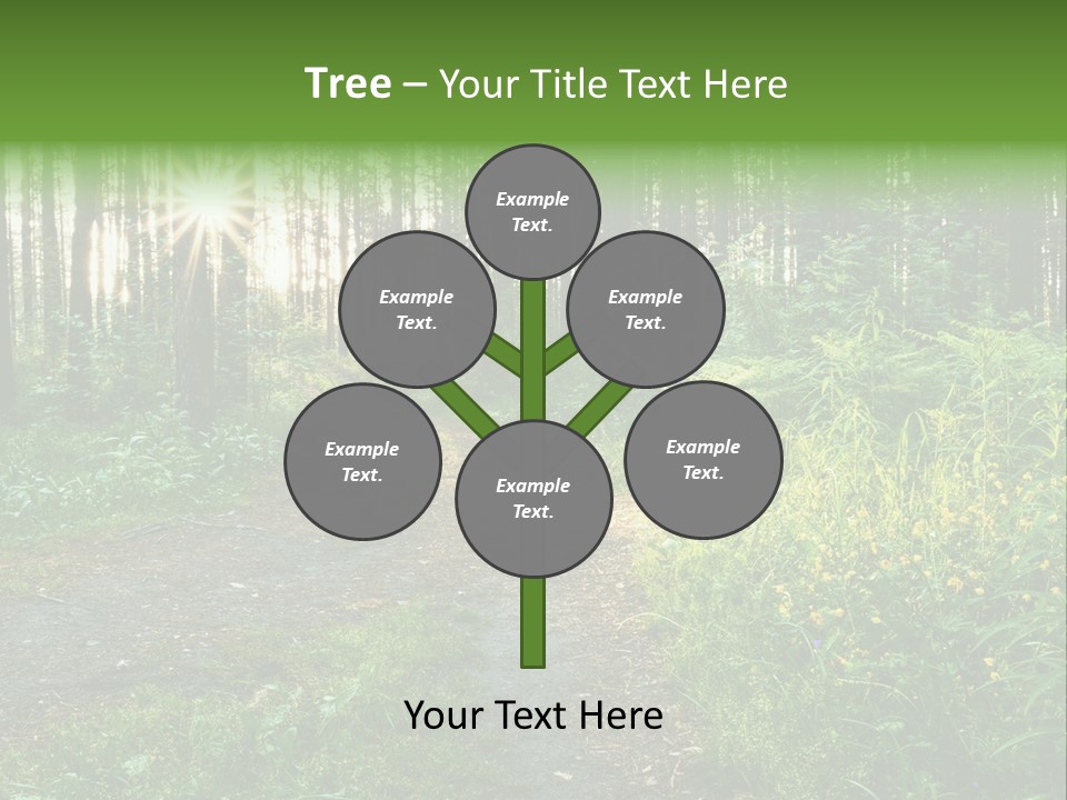 Light Beautiful Sunset PowerPoint Template