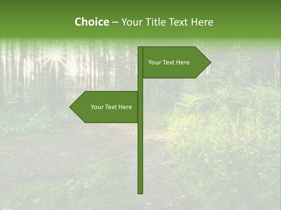 Light Beautiful Sunset PowerPoint Template