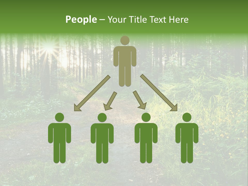 Light Beautiful Sunset PowerPoint Template