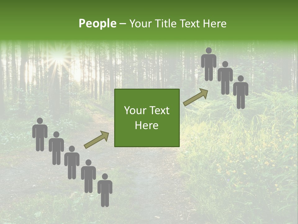 Light Beautiful Sunset PowerPoint Template