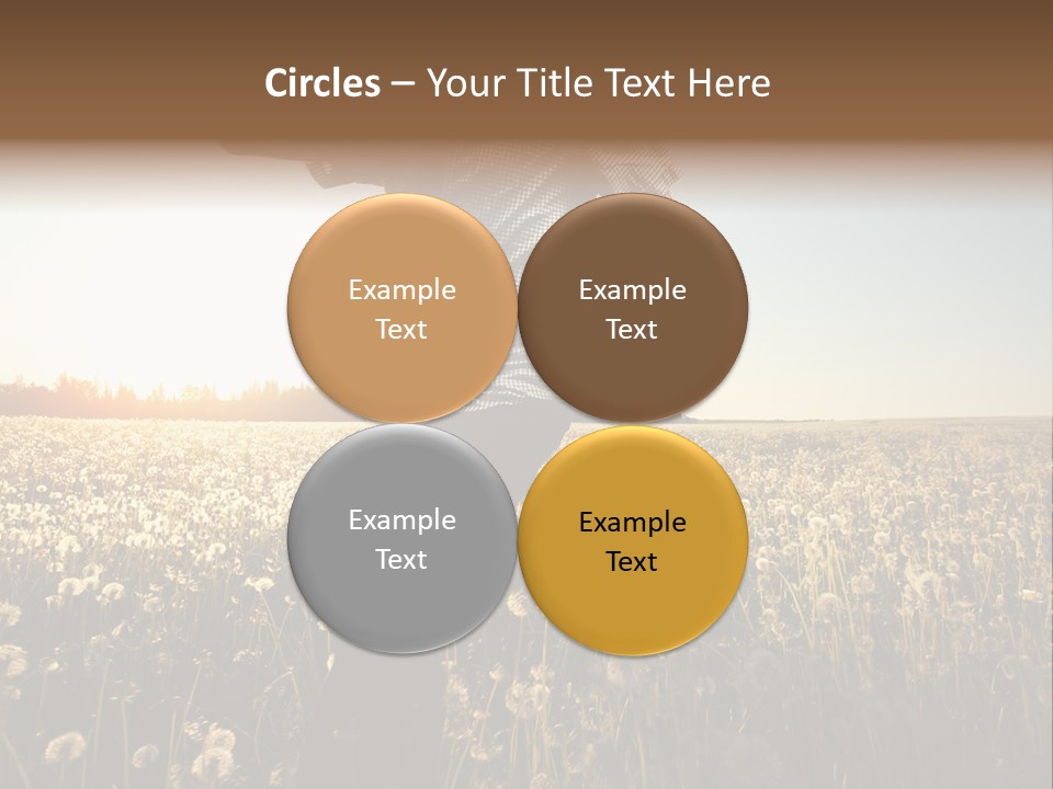 Active Field Flower PowerPoint Template