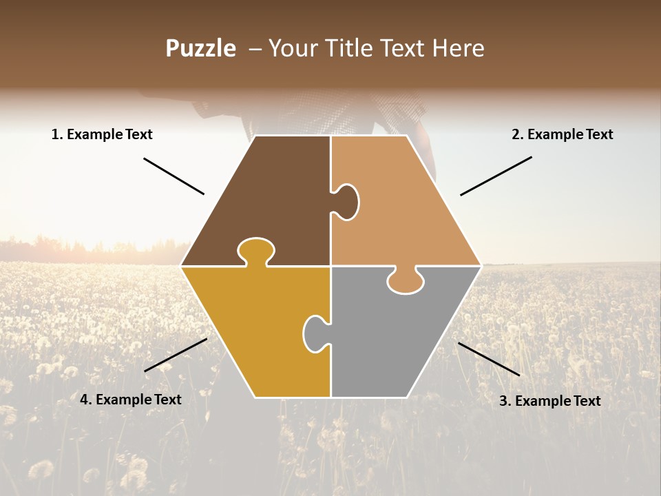 Active Field Flower PowerPoint Template