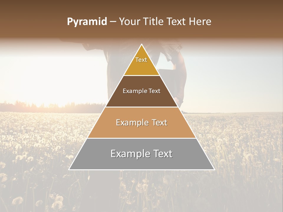 Active Field Flower PowerPoint Template