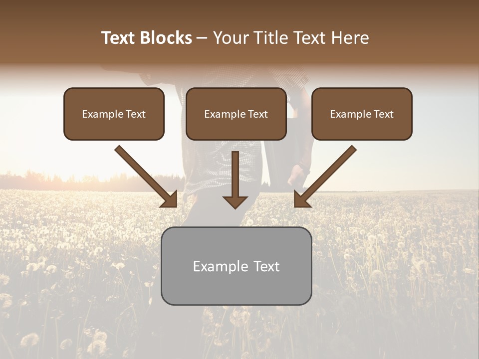 Active Field Flower PowerPoint Template