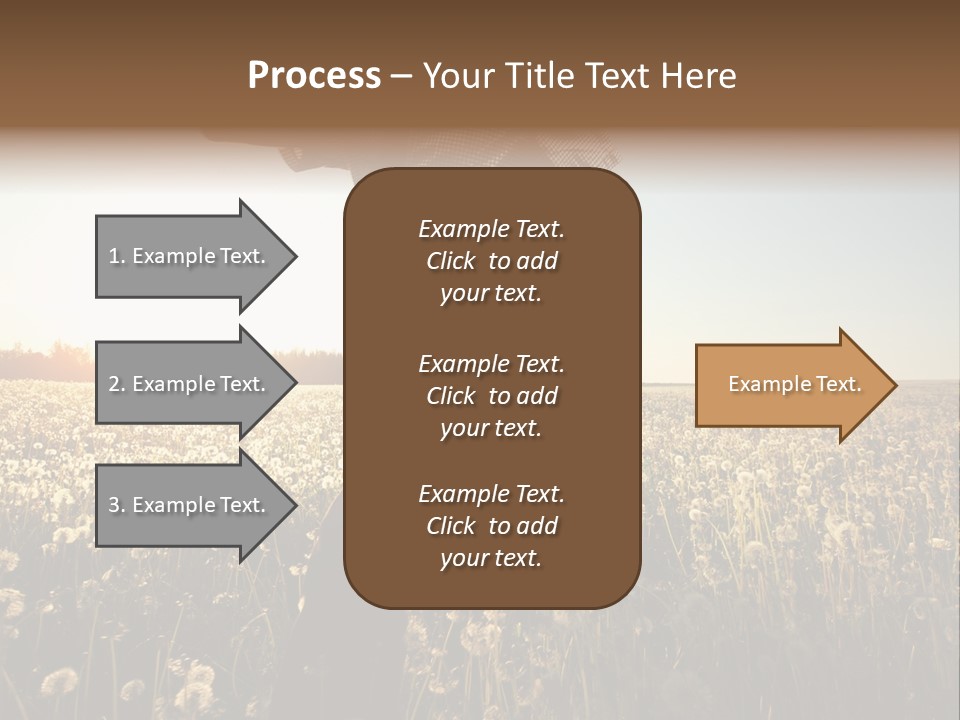 Active Field Flower PowerPoint Template