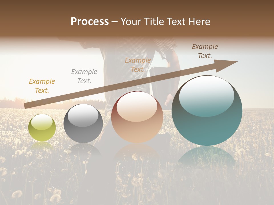 Active Field Flower PowerPoint Template