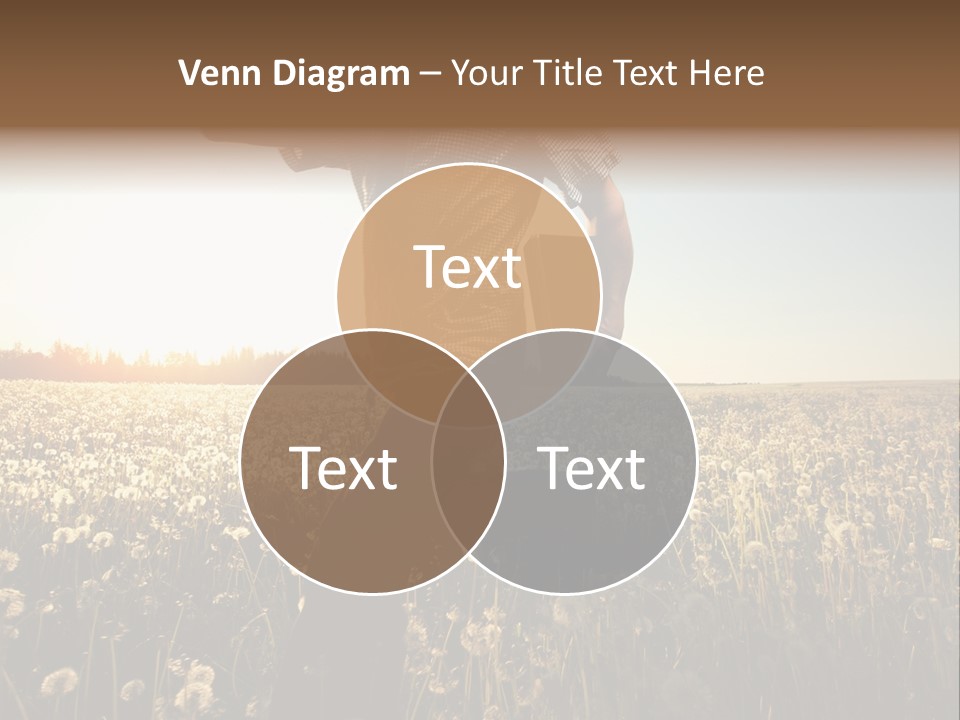 Active Field Flower PowerPoint Template