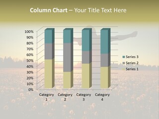 Environment Smile Vacation PowerPoint Template