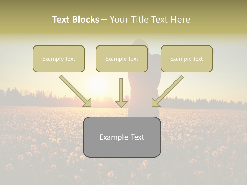 Environment Smile Vacation PowerPoint Template