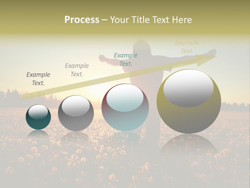 Environment Smile Vacation PowerPoint Template