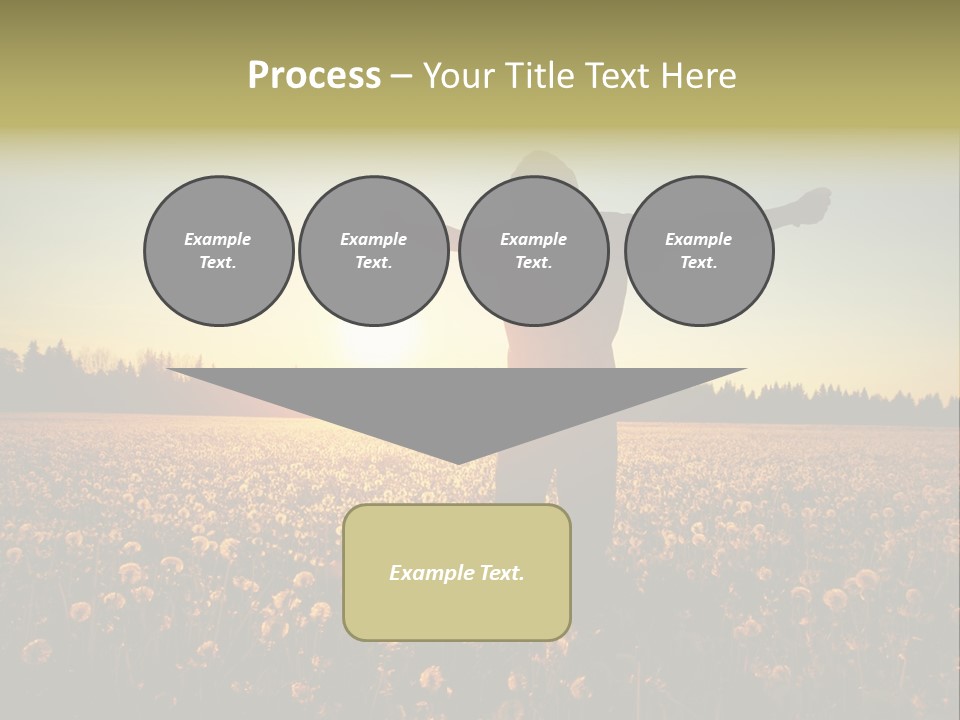 Environment Smile Vacation PowerPoint Template