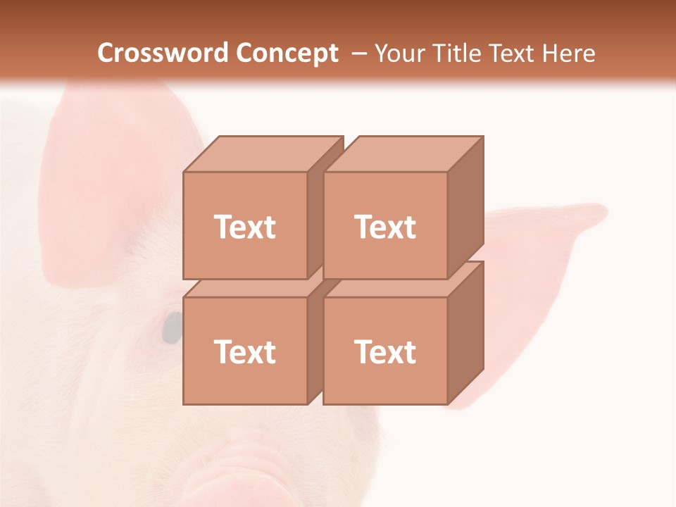 Animals Studio Mammal PowerPoint Template