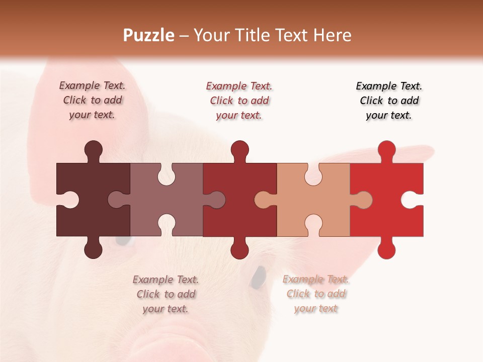 Animals Studio Mammal PowerPoint Template