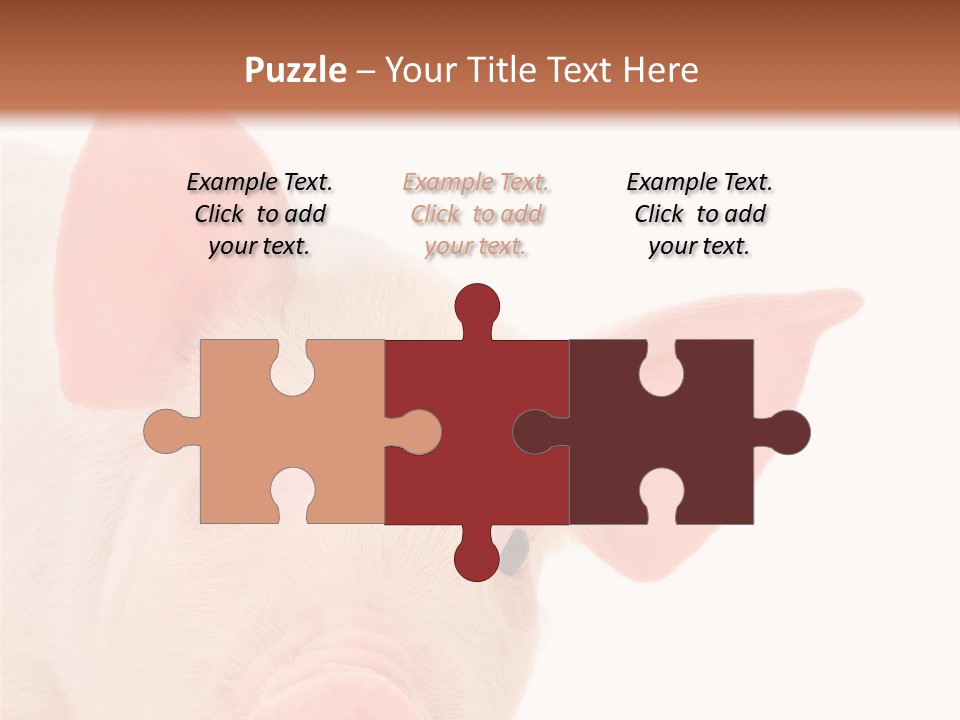 Animals Studio Mammal PowerPoint Template