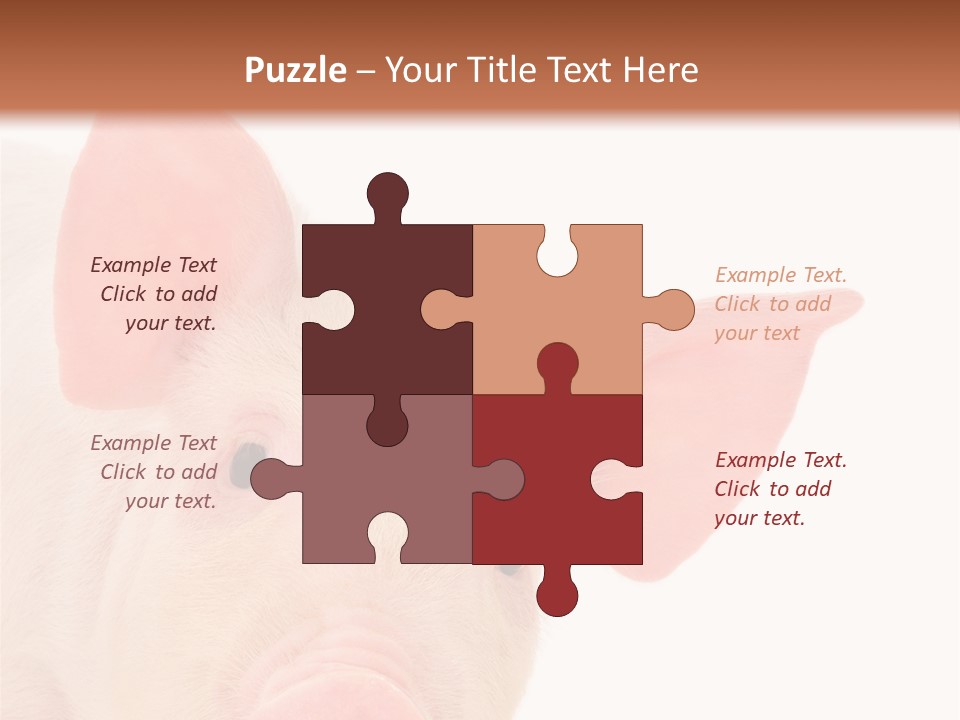 Animals Studio Mammal PowerPoint Template