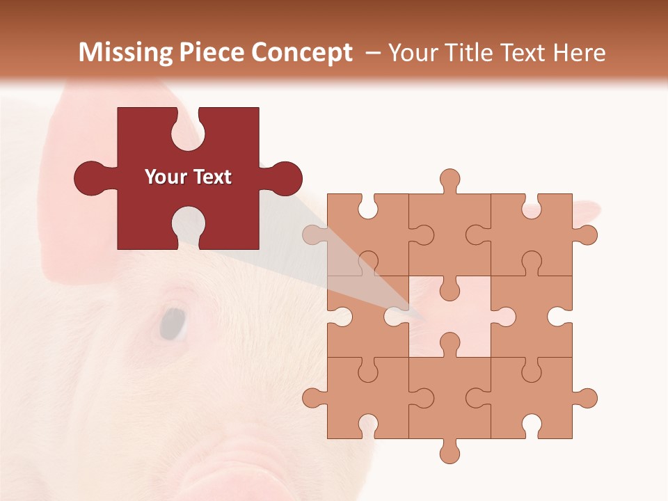 Animals Studio Mammal PowerPoint Template