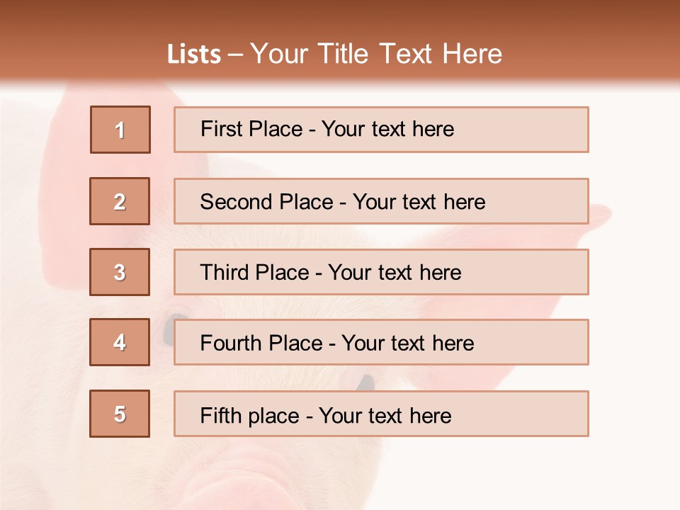 Animals Studio Mammal PowerPoint Template
