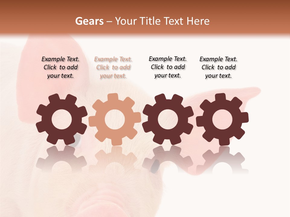 Animals Studio Mammal PowerPoint Template