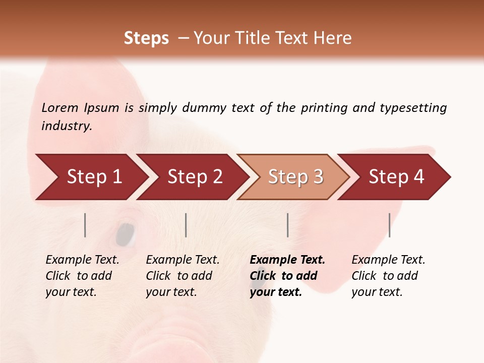 Animals Studio Mammal PowerPoint Template