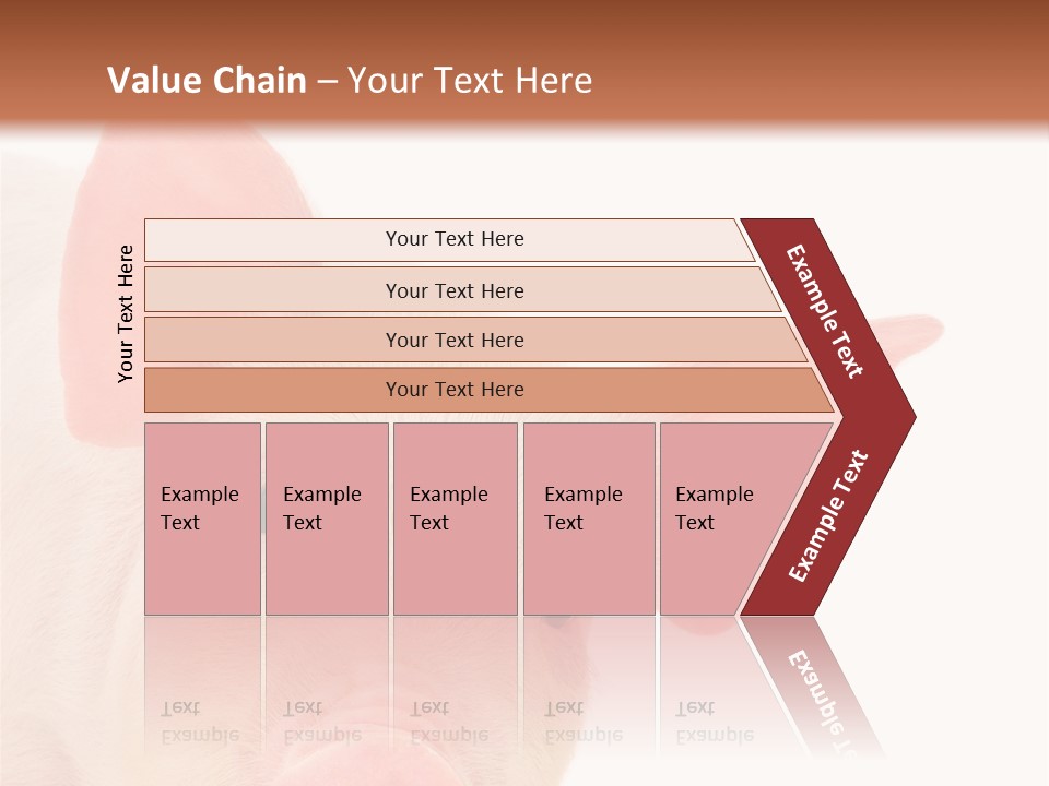 Animals Studio Mammal PowerPoint Template
