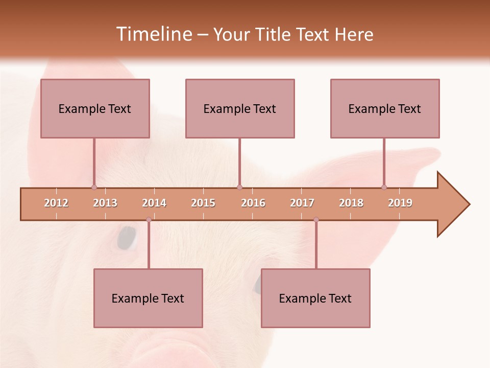 Animals Studio Mammal PowerPoint Template